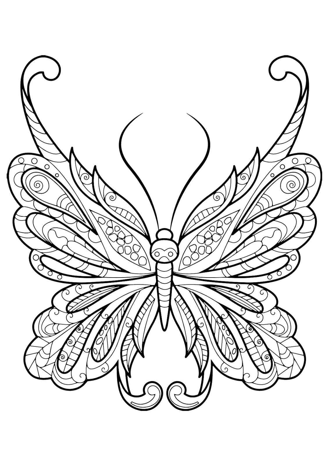 Tranh tô màu con bướm họa tiết 1