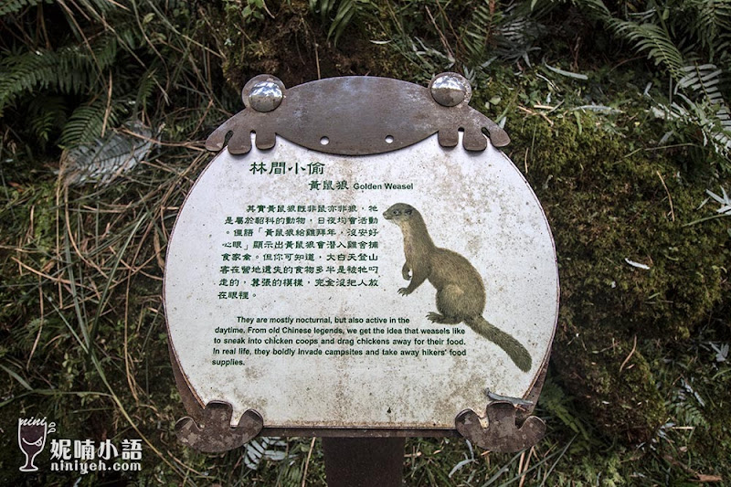 翠峰湖環山步道