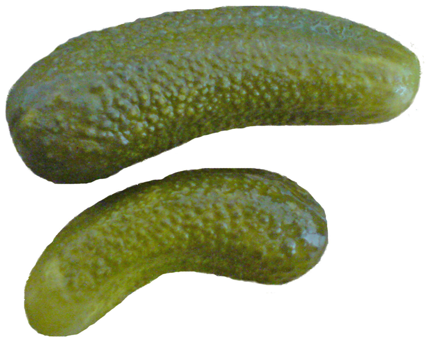 pepinillos en vinagre para dieta