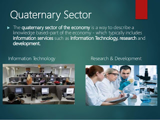 quaternary economy sector primary quinary tertiary sectors secondary knowledge known also