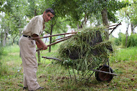 Spinning Babies Why travel as a tourist? 