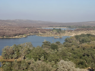 park contains many lakes in middle of forest