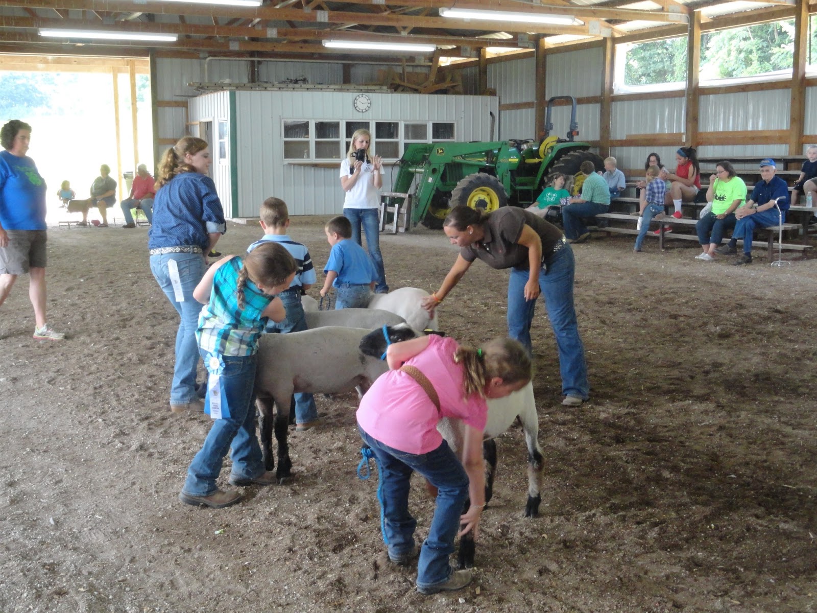 BarnScoop Photos from Hart County Fair 4H Market Lamb, Market Hog