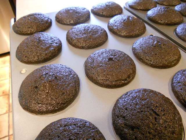 The Baked Chocolate Cupcakes