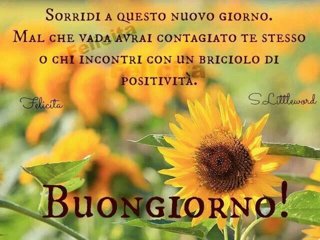 Frasi Bellissime Il Senso Della Vita Buongiorno