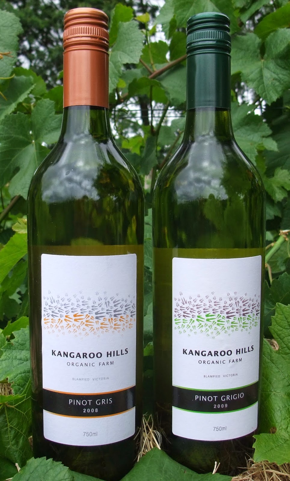 Red Wine With Kangaroo Label Juleteagyd