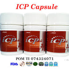 beli obat herbal jantung koroner Tasly ICP Capsule di Palembang