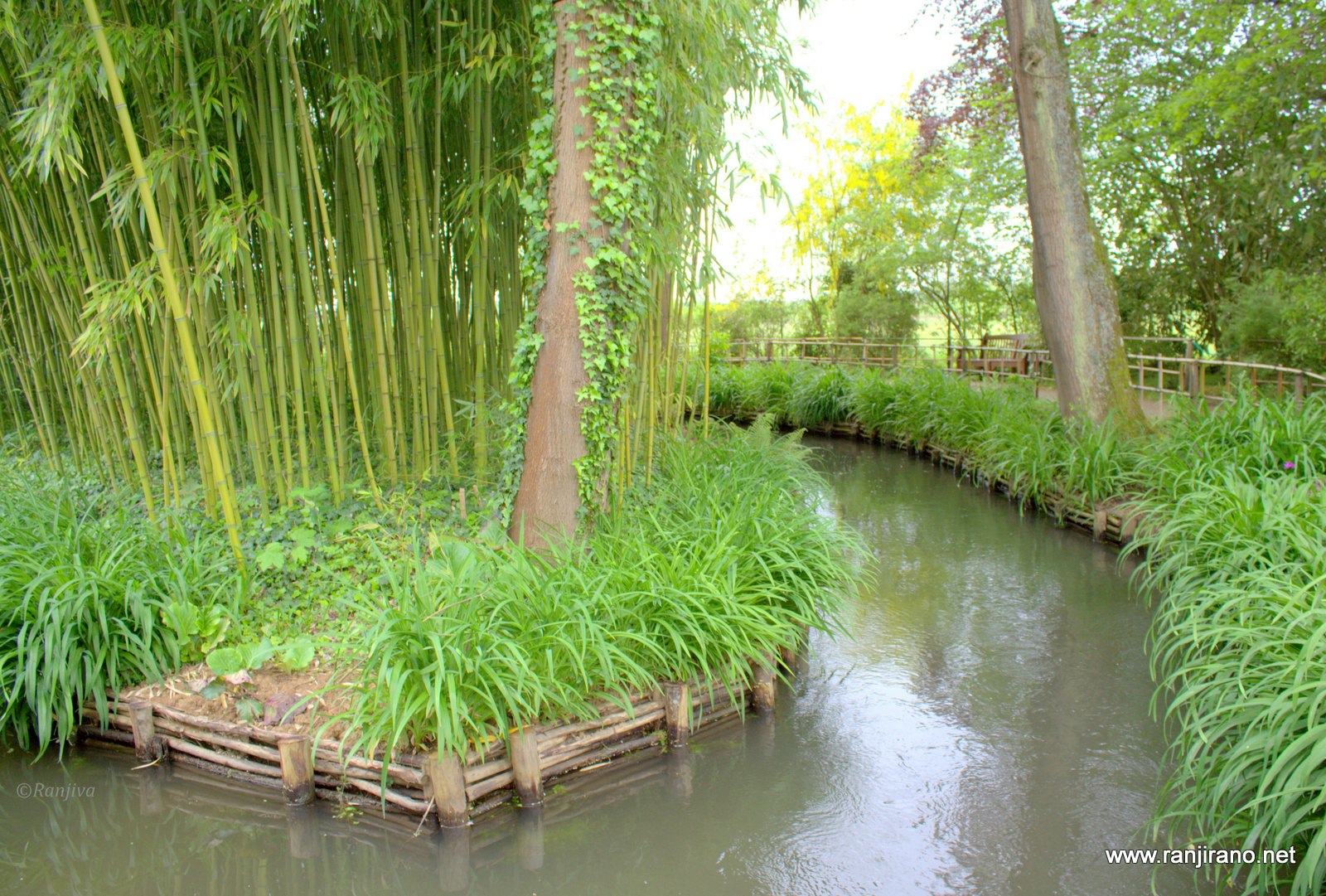 Un Ravissant ruisseau dans le jardin de [Le Ru] [Giverny