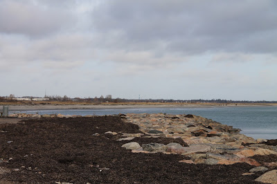 Vandringsløse Tidende: januar 2016