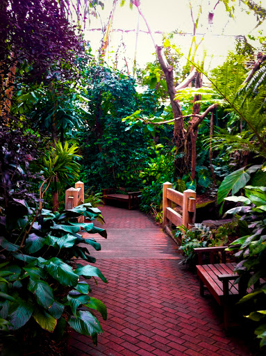 Bolz Conservatory at Olbrich Gardens Madison WI Bolz Conservatory at Olbrich Gardens Madison WI
