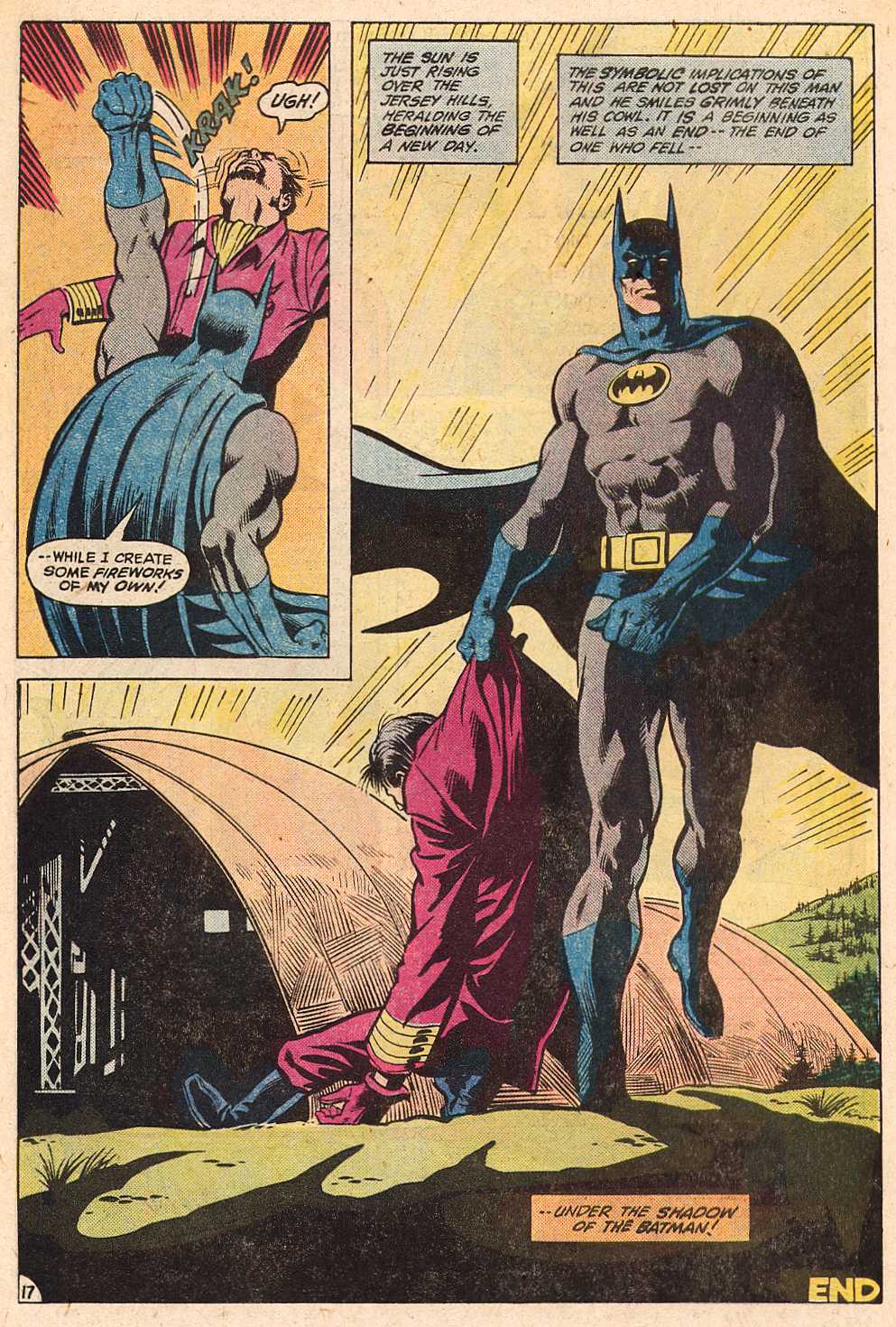 Detective Comics (1937) issue 519 - Page 17
