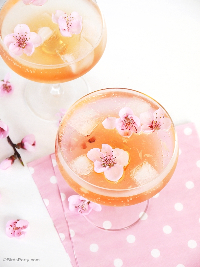 Spring Blossom Cocktail Recipe - BirdsParty.com