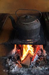 ESCOLHA DOS EDITORES