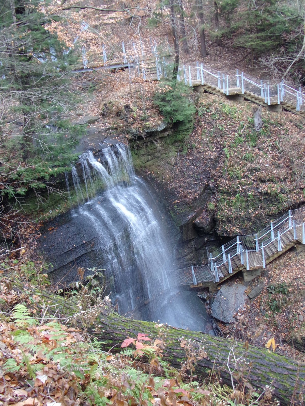 Buttermilk Falls Natural Area