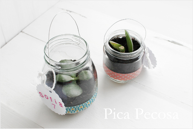 tutorial-hacer-regalo-companeros-colegio-cumpleanos-planta-en-bote-cristal-con-asa-alambre-diy