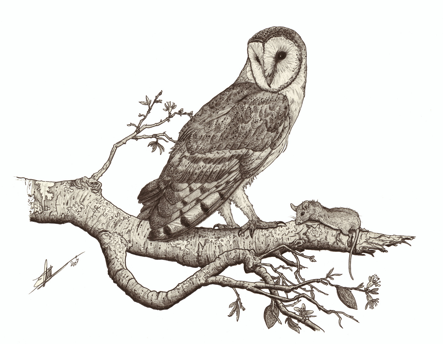 Asociacion De Artistas Y Artesanos De Nuevo Baztan El Taller