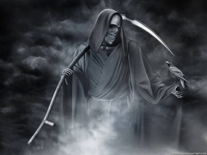 Facts will make you sleep early