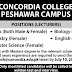 The Concordia Colleges Peshawar Campus Jobs