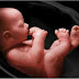 Masya Allah INILAH bukti bahwa Bayi di Dalam Rahim Dapat Mendengar Suara Ibunya