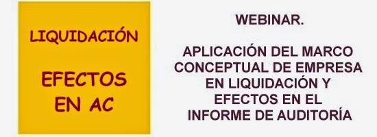 Webinar Aplicación del marco conceptual de emrpesa en liquidación y efectos en la auditoría cuentas