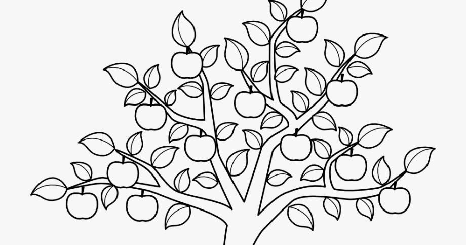 Яблоня карандашом. Яблоня раскраска. Яблоня раскраска для детей. Яблоня рисунок карандашом. Дерево яблоня рисунок.