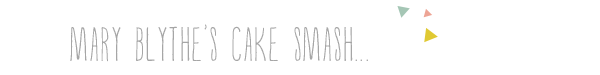 cake smash photographers in winston salem nc cake smash photographers in winston salem nc