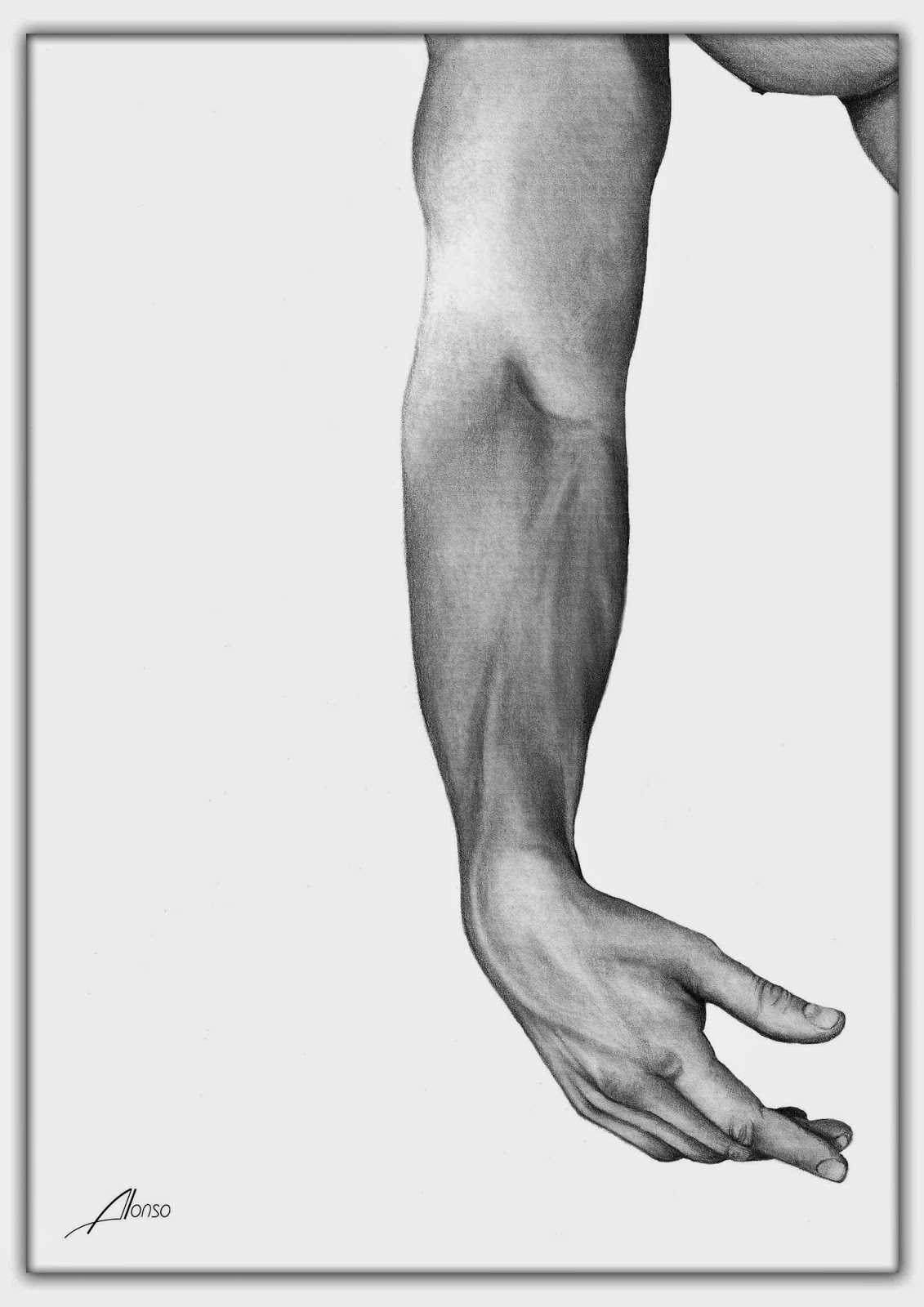 DIBUJOS A LÁPIZ BRAZO