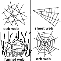 Spiders and Lego - A Net in Time