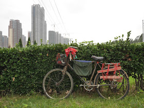 bicycle parked next to some bushes and buildings under construction in the background
