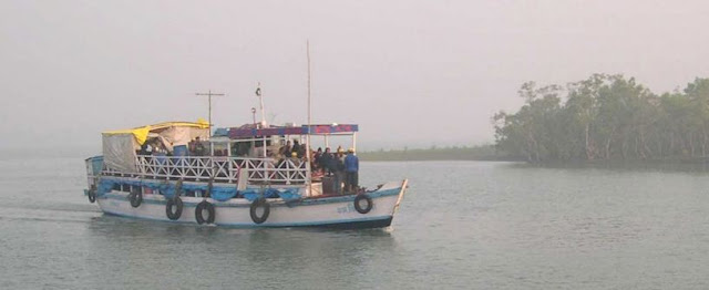 Sunderbans Wildlife Sanctuary, Sundarbans National Park