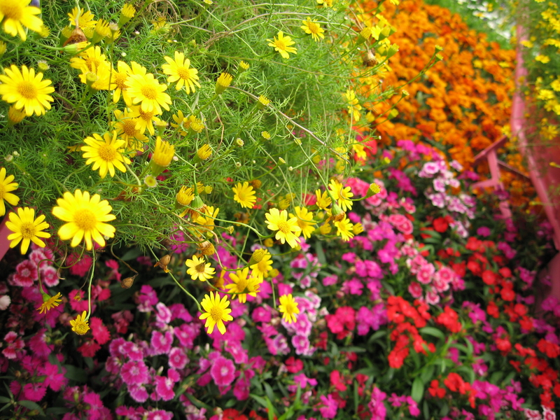 Business Ideas Small Business Ideas How to Start a Flower Framing