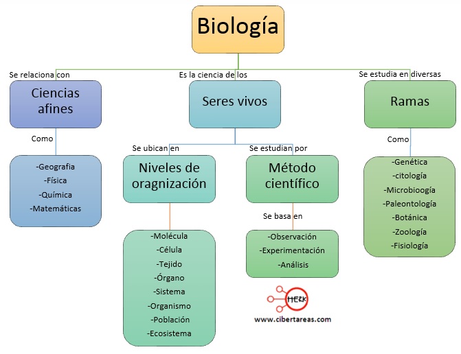 Mapa conceptual Biología 1° EM