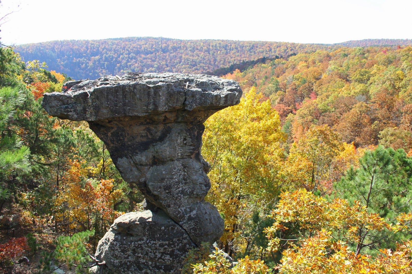 Matzats on a Motorcycle Arkansas Fall Foliage Tour