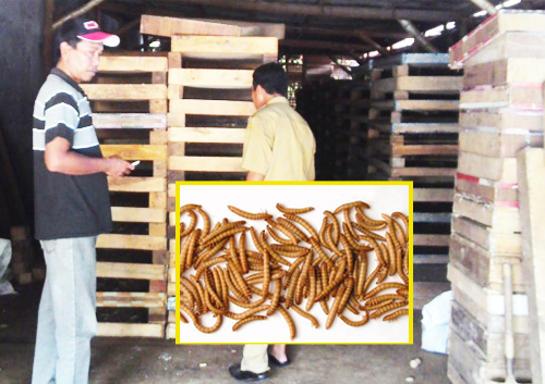 Mau Omset 50jt Bulan Peluang Usaha Ini Bisa Di Terapkan Di