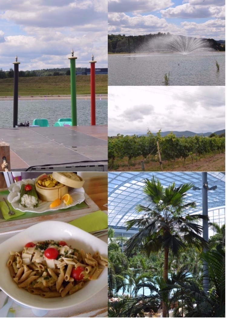 Macht Jede Zeit Zur Lesezeit Pdf Kostenfreier Download