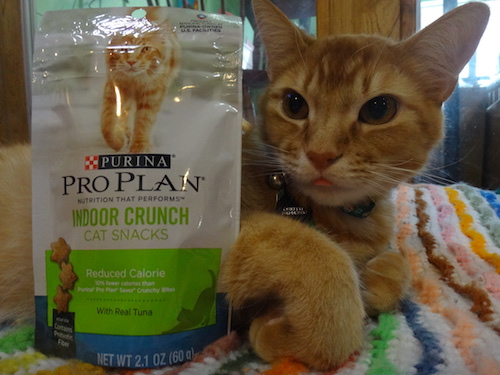 purina reduced calorie