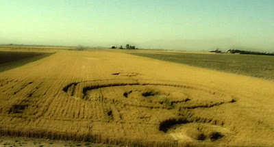 circulo en los campos de trigo junio 2012 en iran