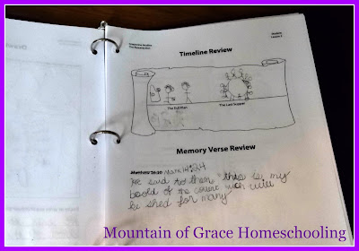 homeschool bible curriculum 