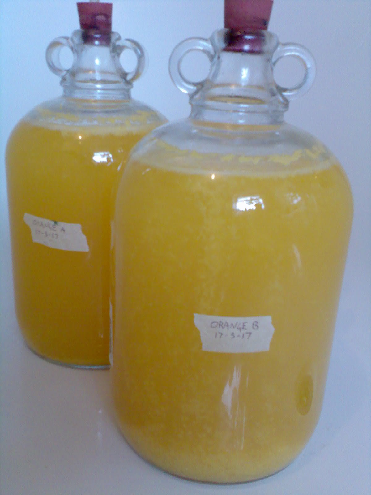 Ben's Adventures in Wine Making Orange Wine 2017 The Making Of...