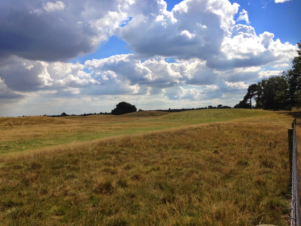 Sutton Hoo mounds 