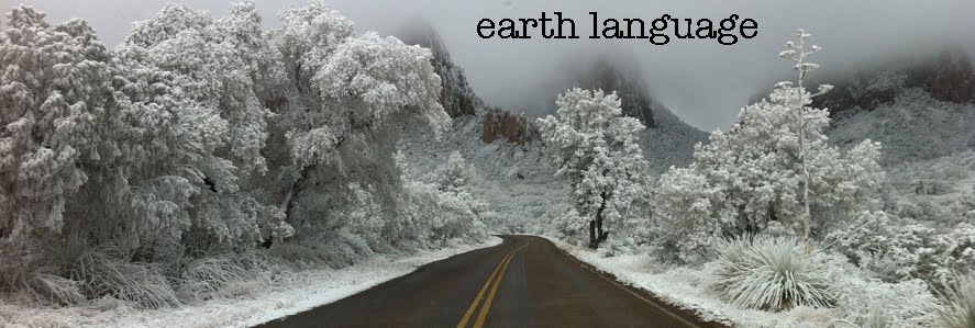 earth language