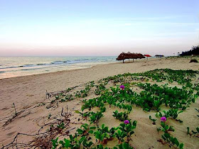 Getting Ready for Your Trip to Quang Binh