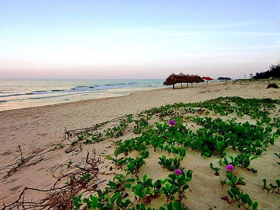 Getting Ready for Your Trip to Quang Binh