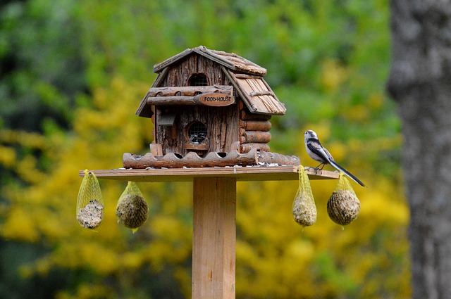 Tausend Gartenideen: Vogelschutz im Kleingarten