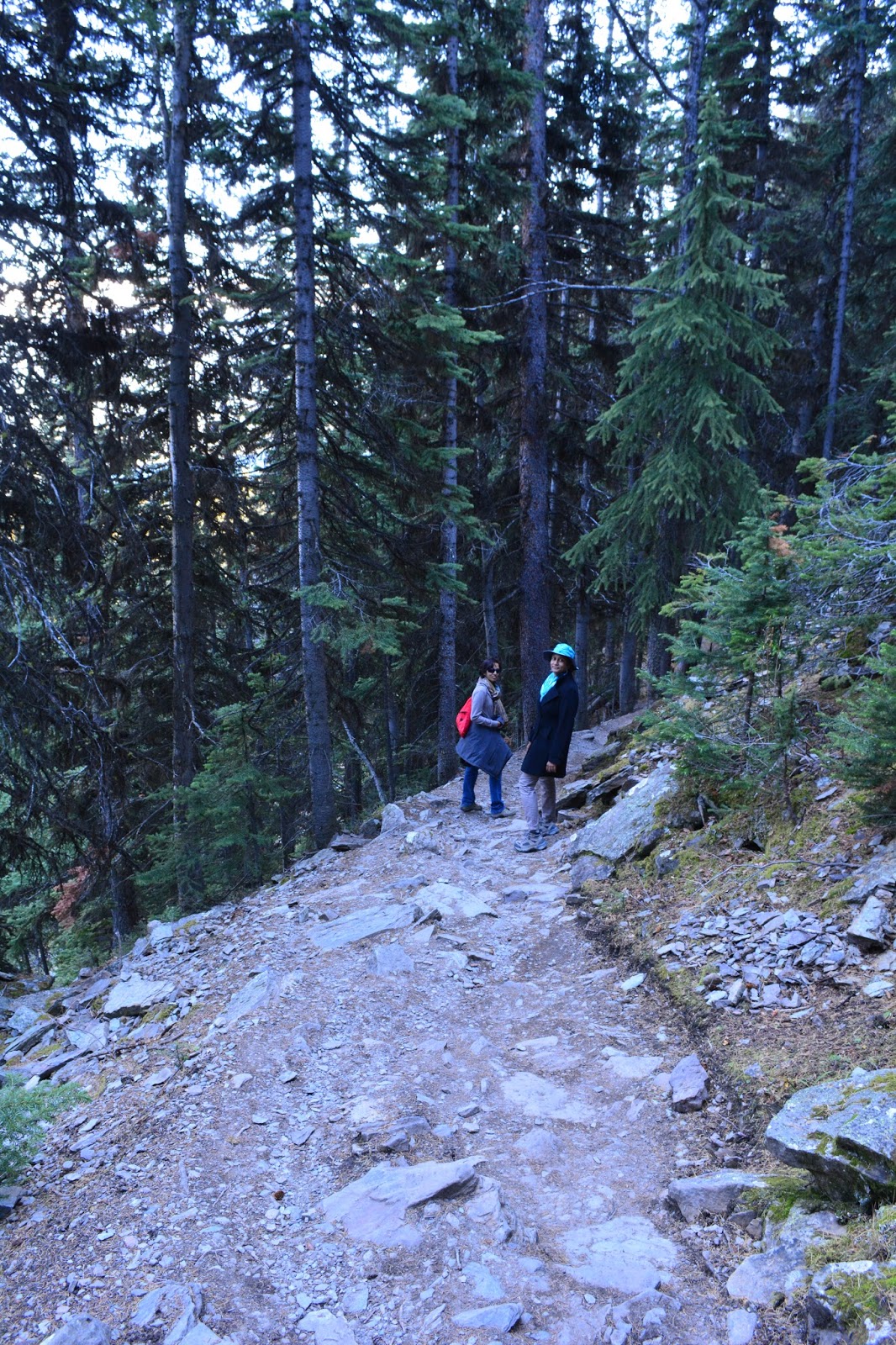 SRHike Tunnel Mountain hike in Banff National Park, Calgary, Canada
