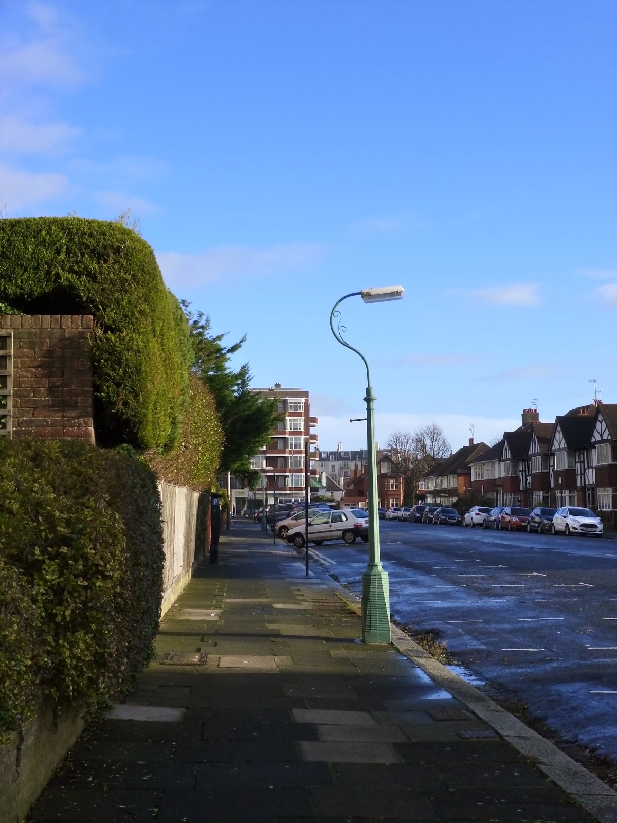 Hove Daily Photo Princes Avenue