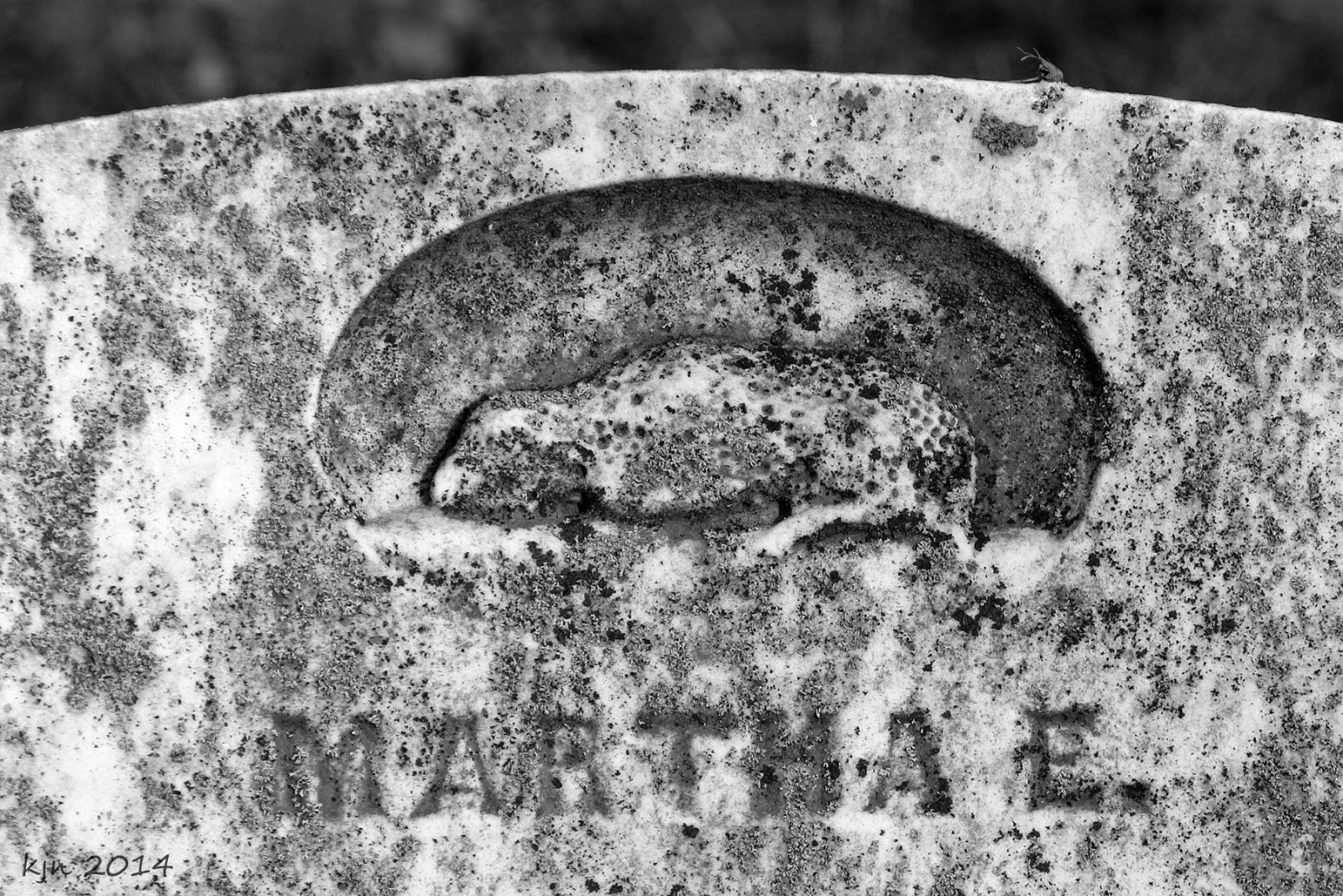 The Outskirts of Suburbia Prospect Hill Cemetery