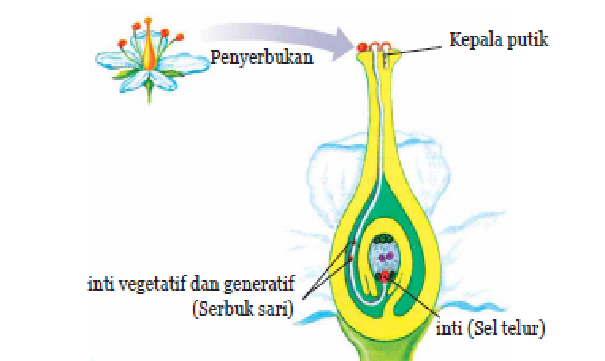 PERKEMBANGBIAKAN HEWAN DAN TUMBUHAN Mei 2016