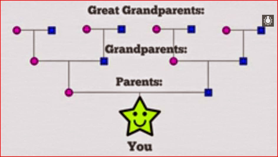 Genealogy family tree animatedfilmreviews.filminspector.com