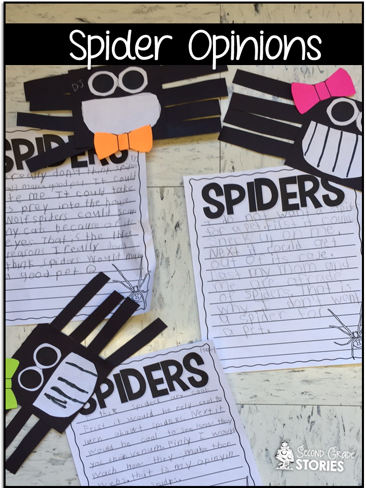 Spectacular Spiders! - Second Grade Stories